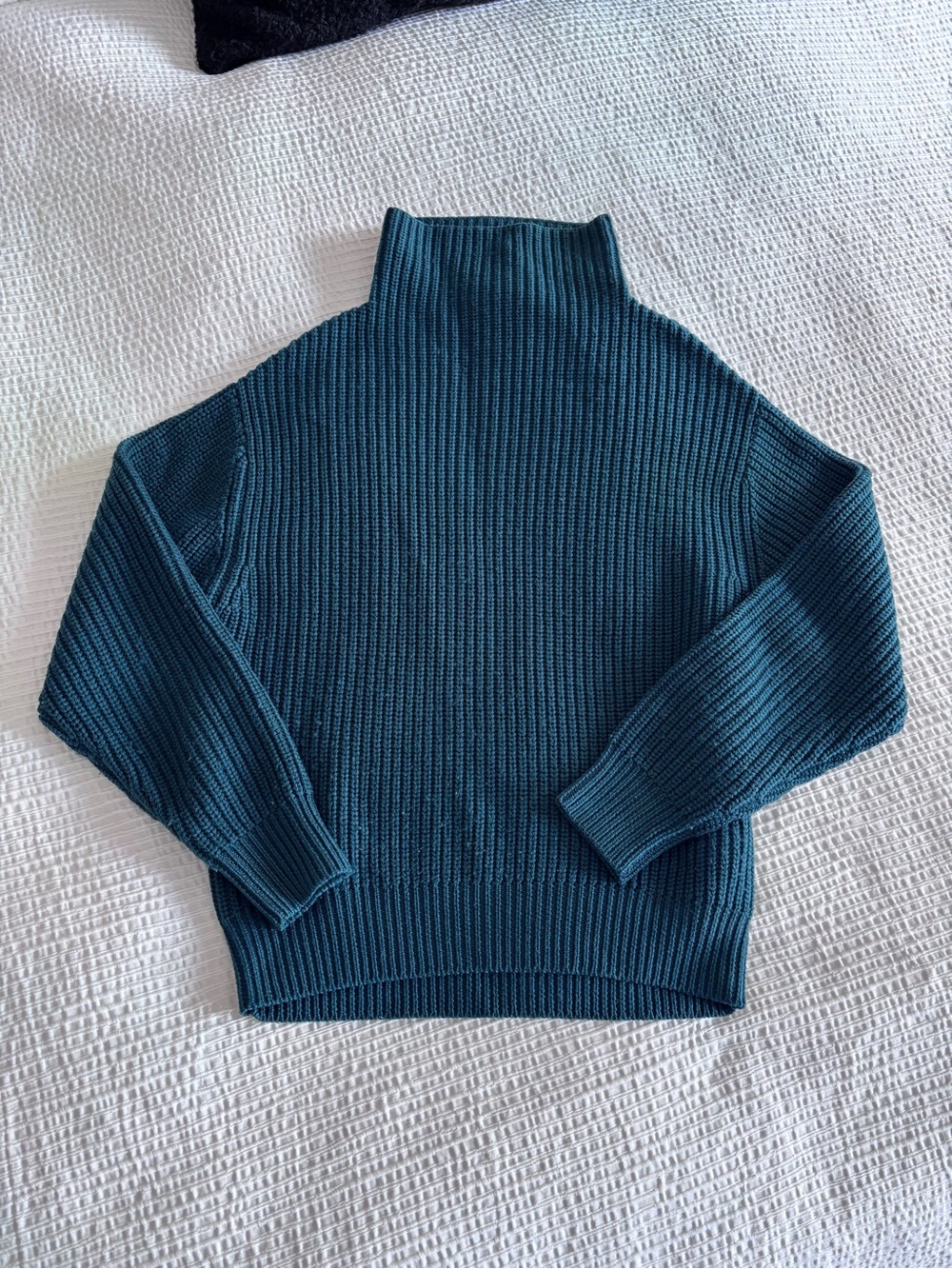 Wilfred Montpellier Turtleneck